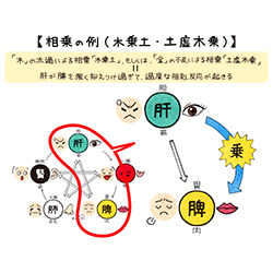 漢方”に強くなる! まるわかり中医学 | 知識&学びのカテゴリー | 薬剤師