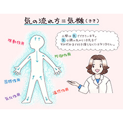 第34回 人体を作る気・血・津液とは（2）気の働き | 薬剤師のエナジー