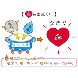 中医学 東洋医学講座 第3巻 脾臓・肺臓・腎臓編 東洋医学講座 第三巻