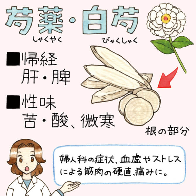 白芍の効能