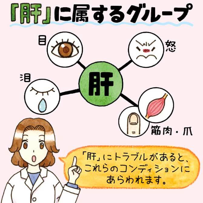 肝に属するグループ