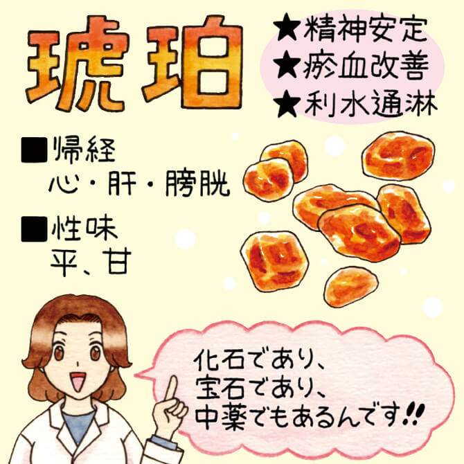 化石であり、宝石であり、中薬でもあるんです！！