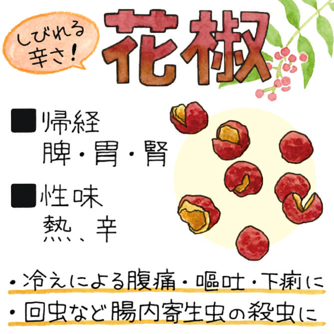 花椒 しびれる辛さ！ ・冷えによる腹痛・嘔吐・下痢に ・回虫など腸内寄生虫の殺虫に