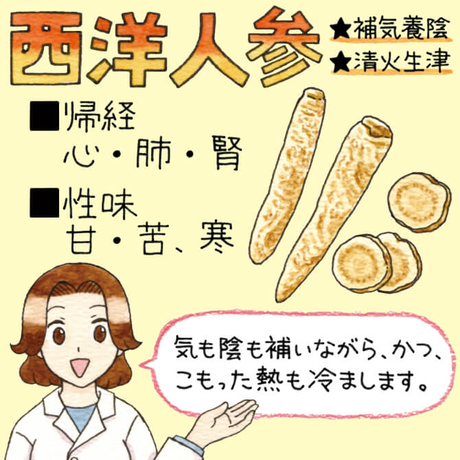 西洋人参 気も陰も補いながら、かつ、こもった熱も冷まします。