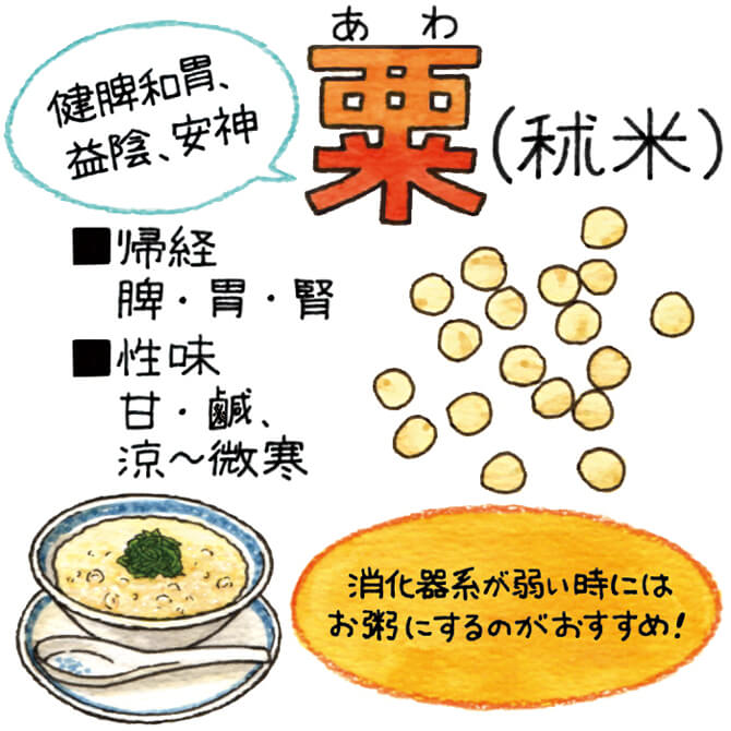 粟(秫米) 消化器系が弱い時にはお粥にするのがおすすめ!
